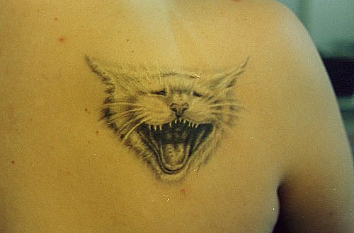 Фото, значение в магии татуировки " Кот. Кошка. Котенок. " X_75a61e28
