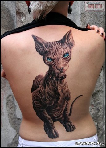 Фото, значение в магии татуировки " Кот. Кошка. Котенок. " X_d96a1e09